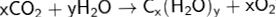 mathsf{xCO_2 + yH_2O rightarrow C_x(H_2O)_y + xO_2}