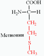 metionin1 small