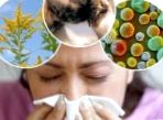 Профилактика аллергии через пять продуктов
