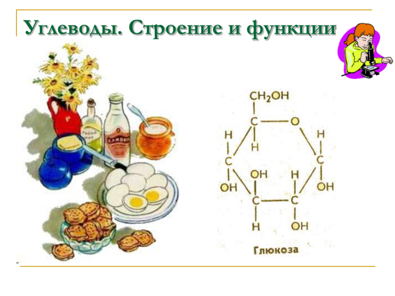 Углеводы фото биология